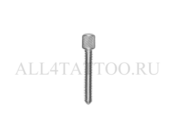 Контактный винт серебряный